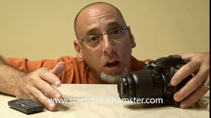 Weekend Project: Macro Photography on a Budget