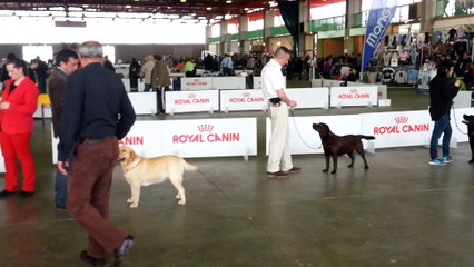 Résultats CACS mars 2015