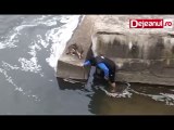 Perro salta de felicidad tras ser rescatado de una represa