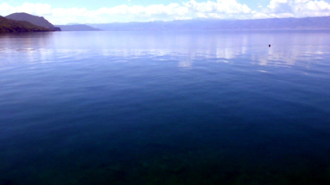 Un serpent dans la Baie des Os