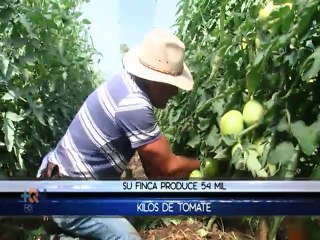 Trabajo duro y devoción son la receta de un agricultor para una buena cosecha