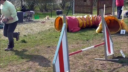 dove cormery mars 2015