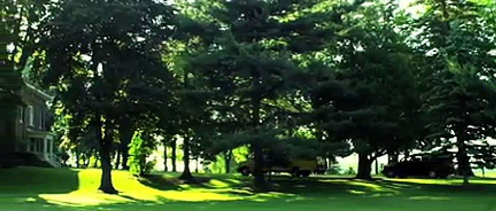 THE AGGRESSION SCALE - Bande-annonce