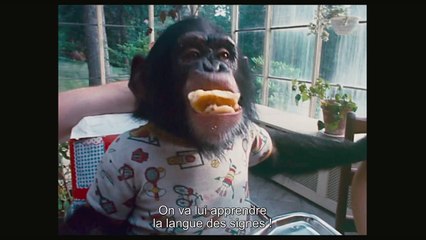 LE PROJET NIM - Bande-annonce