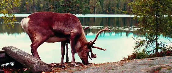 LET MY PEOPLE GO ! - Bande-annonce