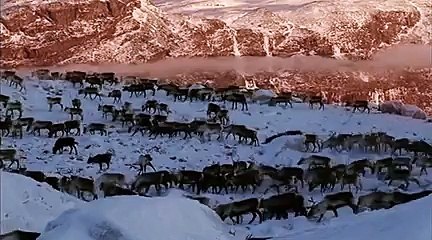 JON, FACE AUX VENTS - Bande-annonce