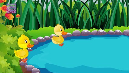 Five little ducks went out one day | English Nursery Rhymes
