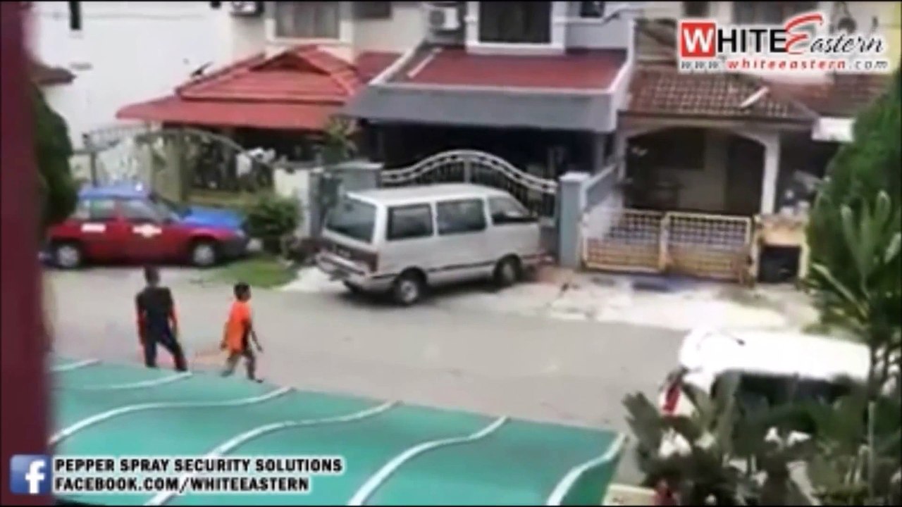 29⁄12⁄2014 Stone Throw Dog Abuse At Taman Puchong Perdana Malaysia Crime Focus 360