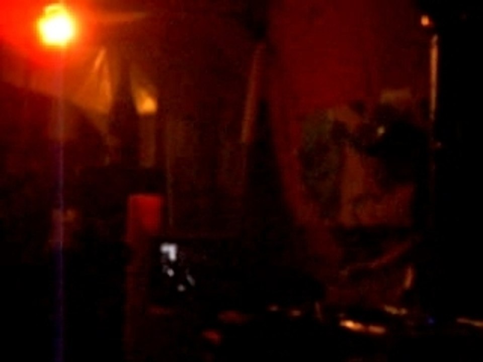 Jungle mst
