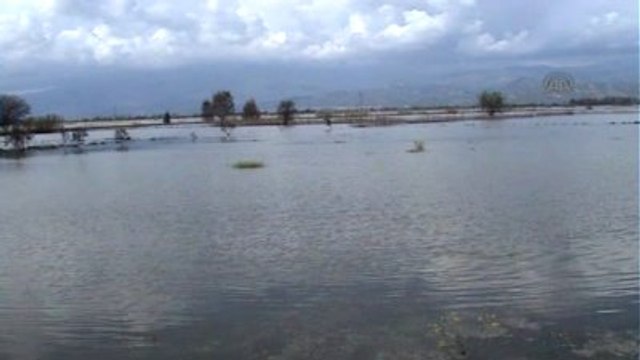 Baraj Kapakları Açılınca Büyük Menderes Nehri Çevresinde Yol ve Tarım Arazileri Su Altında Kaldı