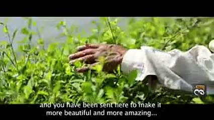 One of the Best video I have ever seen......... just watch it and realise the basics of life.......