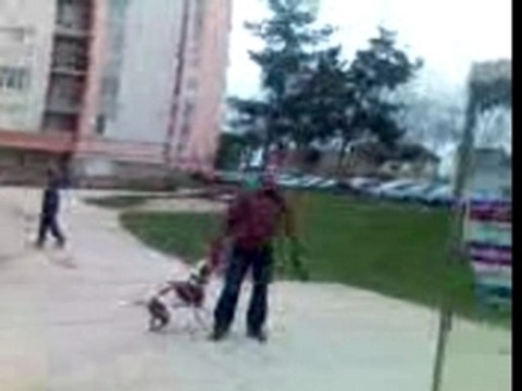 saint ouen l'aumone clo du roi 2