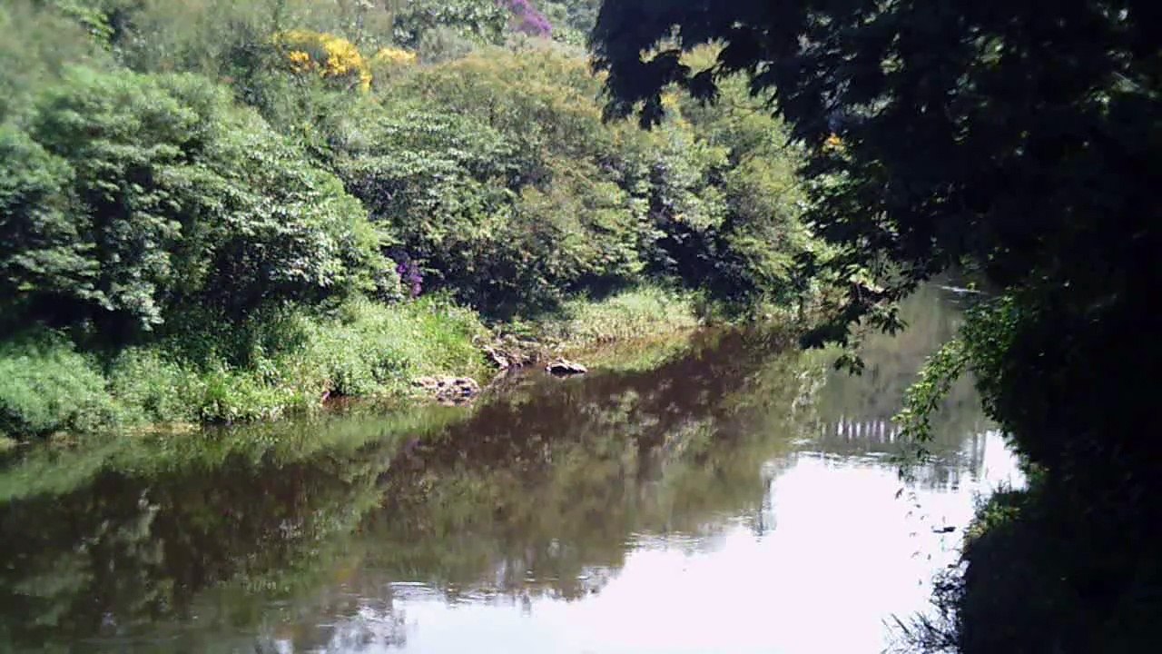 Marcelo Ambrogi, Natureza Indômita, Rio Paraibuna, Mergulhos Sub-aquáticos, Onças, Aranhas, Peixes, Serra do Mar, (84)