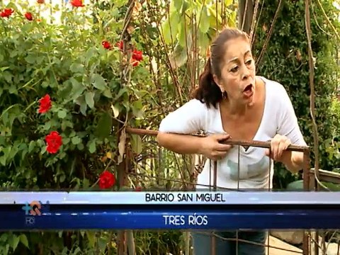 Un caballo cambió el rumbo de su profesión y ahora ayuda a animales maltratados