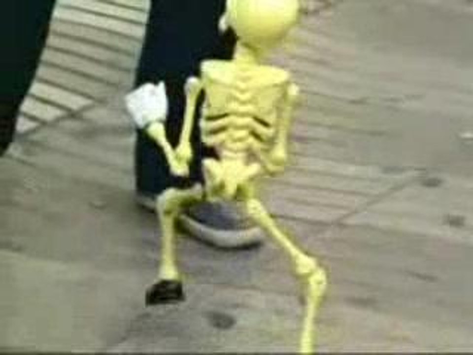 Skeleton