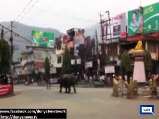 Dunya News-Light stories from all over the world