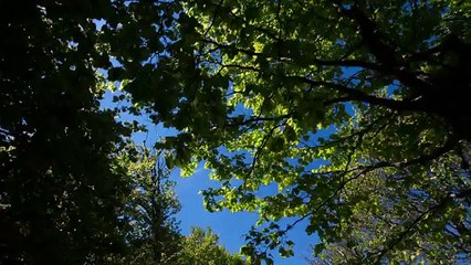 FUNNY Children Dancing - YouTube