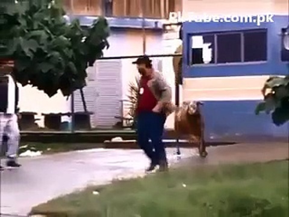 Shocking Goat Attack