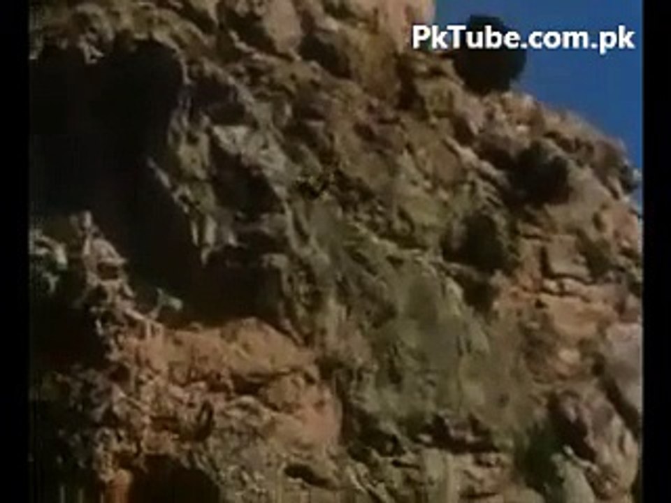 Eagle Hunting a Goat