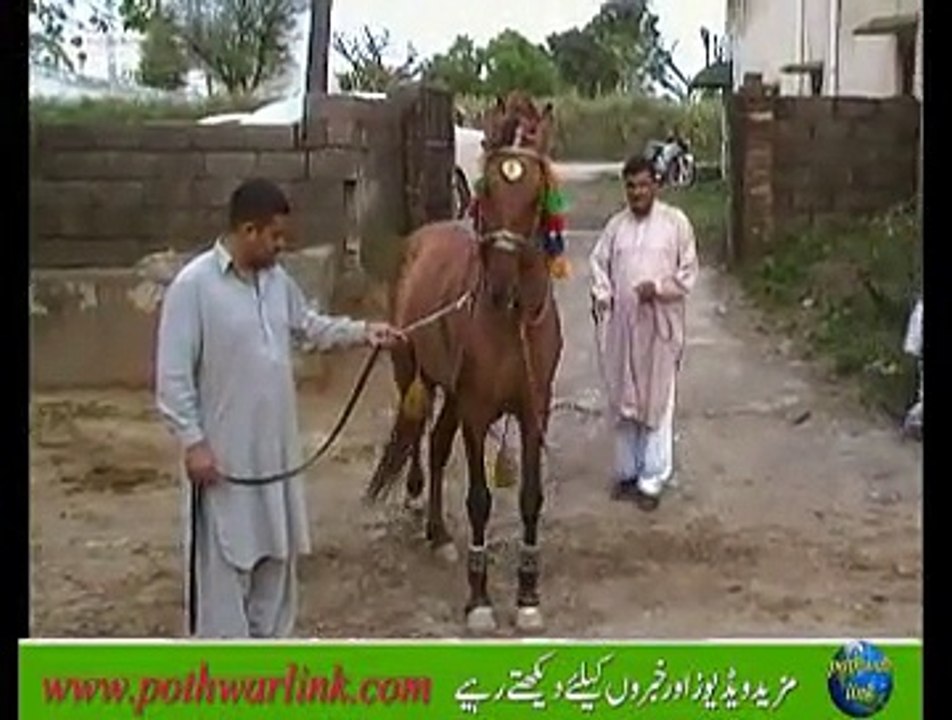 Sehala Gujran Gohra Dance View
