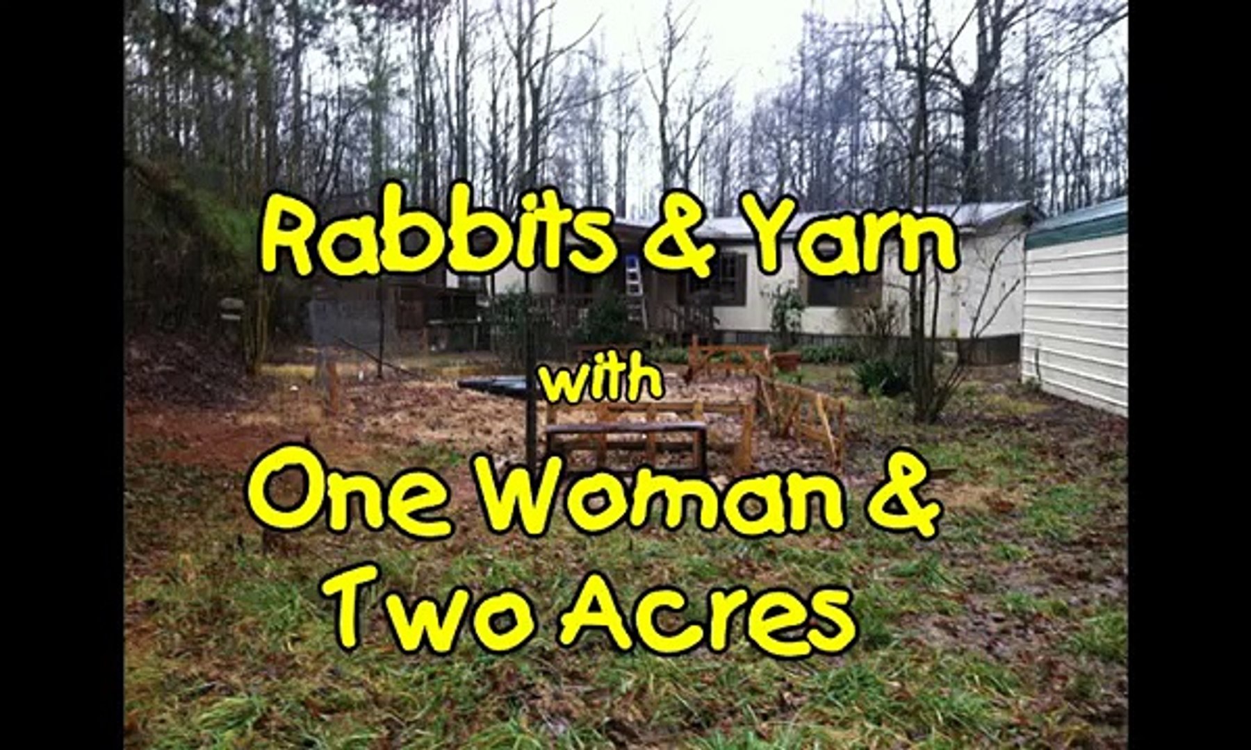 Rabbits & Yarn