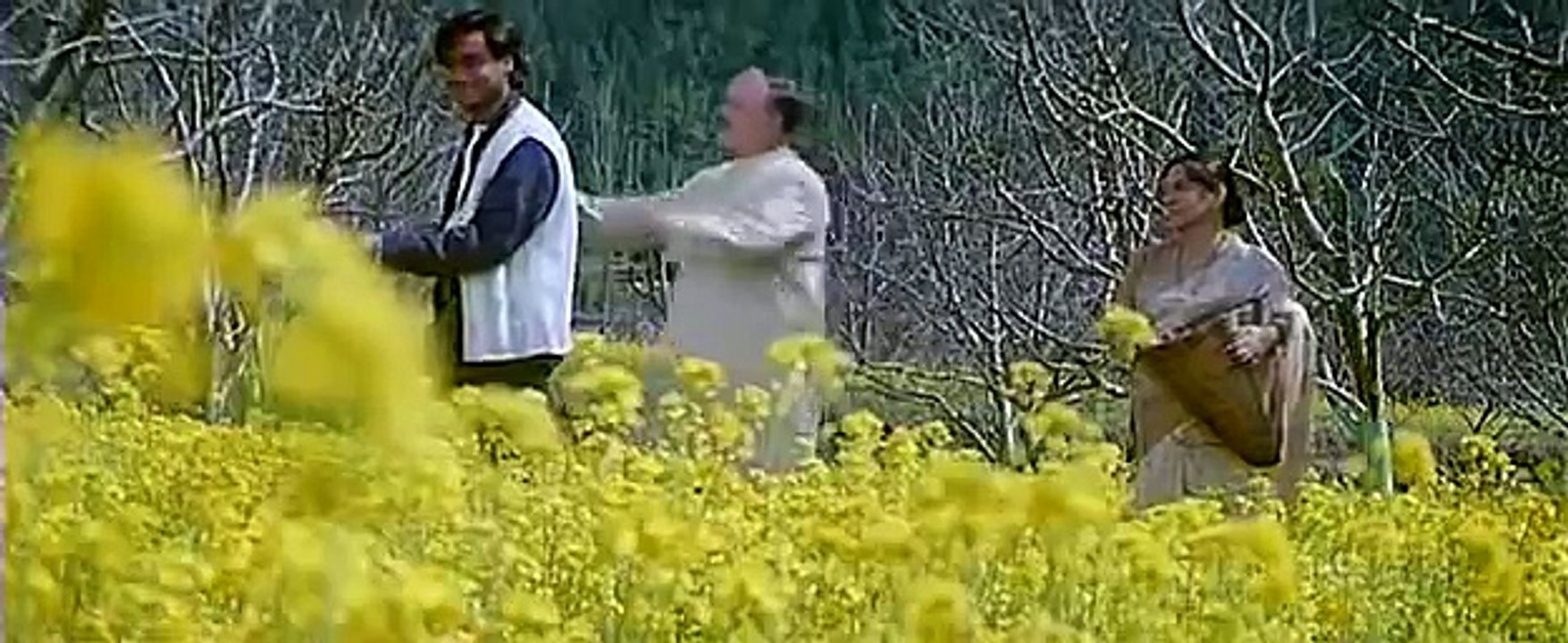 Mera Mulk Mera Desh