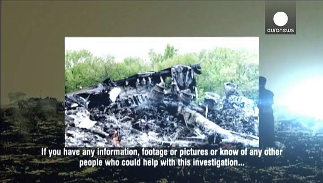 Crash du MH17 : lancement d'un appel à témoins lié à un missile BUK