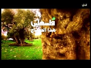فلسطين هذا الصباح ج1 - 31/3/2015