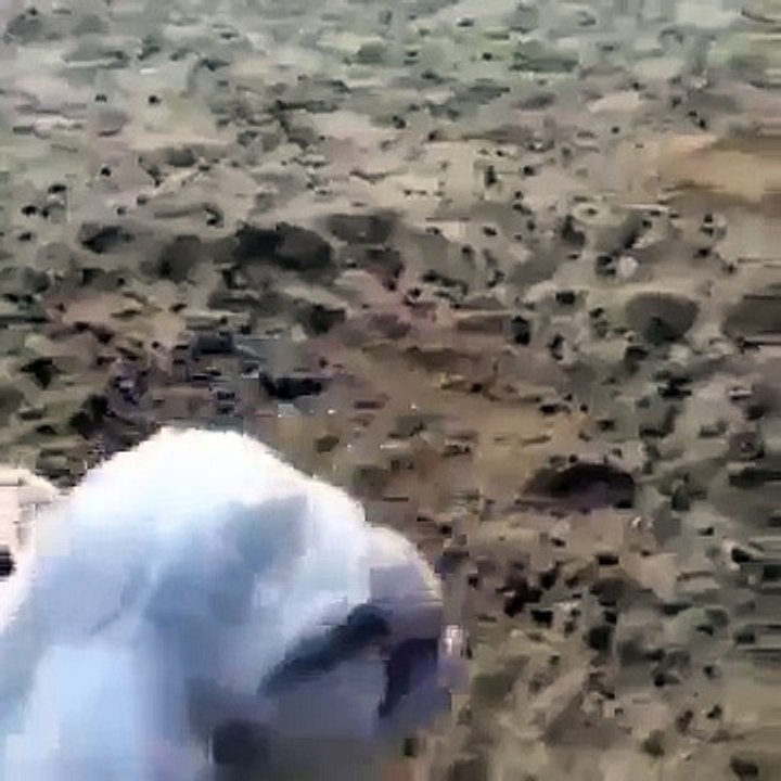 Баран с человеческим лицом