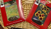 How to plant wildflower seeds| William Glenn| Central Texas Gardener