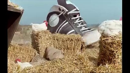 Kıça tekme böyle atılır _)