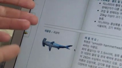 Les requins de la colère, sur Canal+ le 1er avril à 21h.