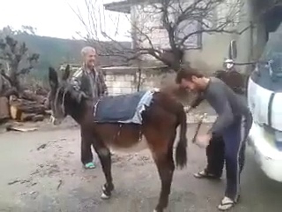 Donkey Car