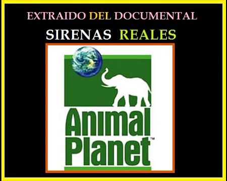 TRES 3 VIDEOS DE SIRENAS REALES CAPTADAS EN EL MAR - LAS SIRENAS SON REALES