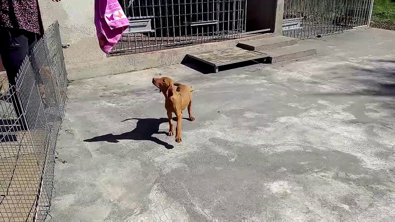 LURON DU CLOS DE LA BEAUME 31/03/2015