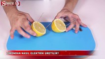 Limondan nasıl elektrik üretilir?