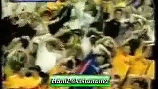 Funny Cricket Moments Video
