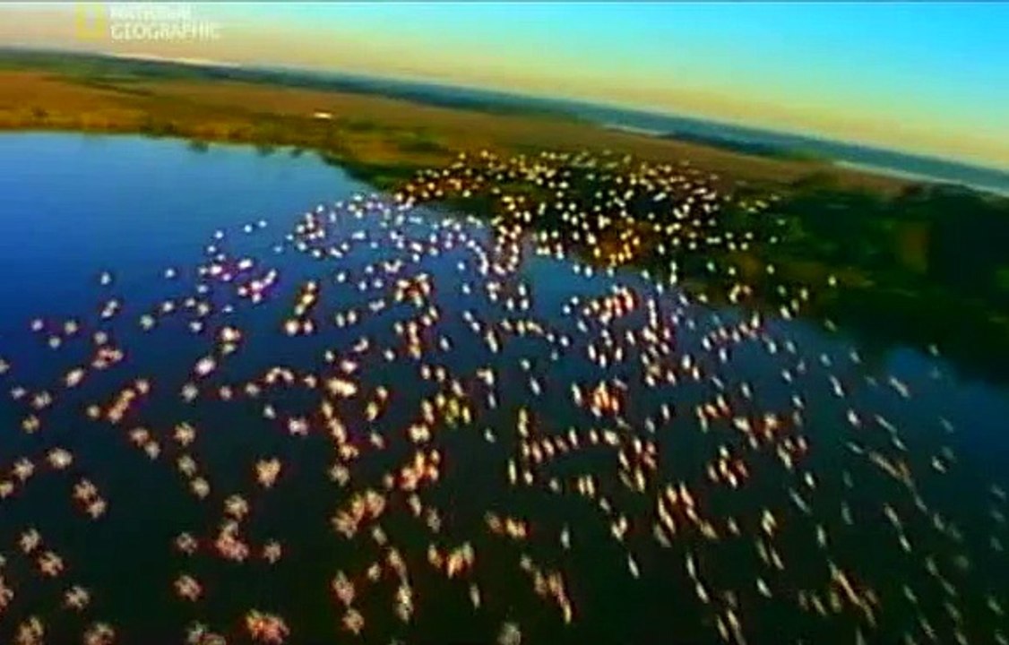 Czysta Nauka Narodziny Ameryki Dokument