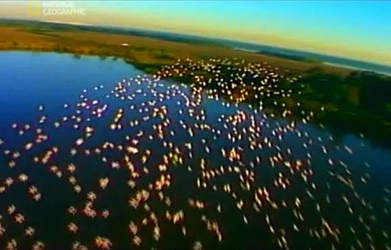 Czysta Nauka Narodziny Ameryki Dokument