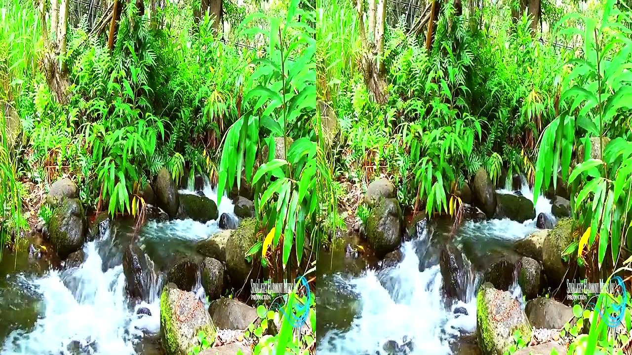 3D Hawaii's Nature In 3D (Yt3d) 3D Nature