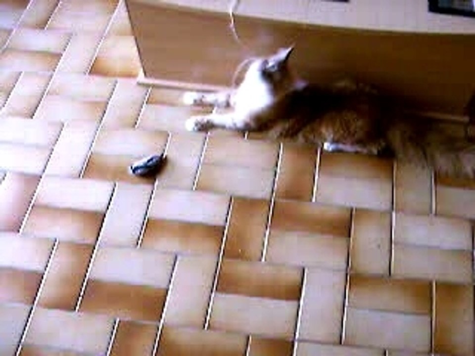 Jeux bébé2