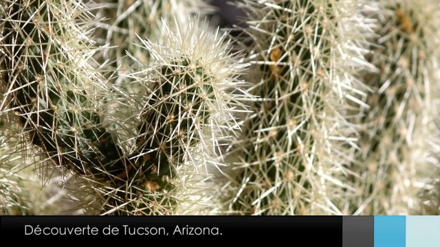 Le Zapp' d'Adé & Jean: États Unis. Part.1.