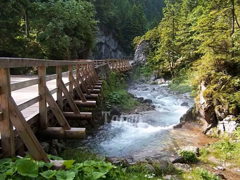 Poland (Polska) - Land of natural beauty | Pologne | Polen | Polonia | Polsko | بولندا