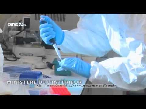 Tragedia Germanwings: El copiloto Lubitz recibió tratamiento hace años por tendencias suicidas