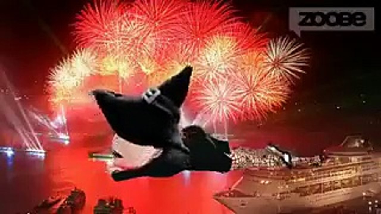 Даже если Вам за 40...