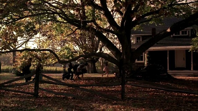 THE ROMANTICS - Bande-annonce