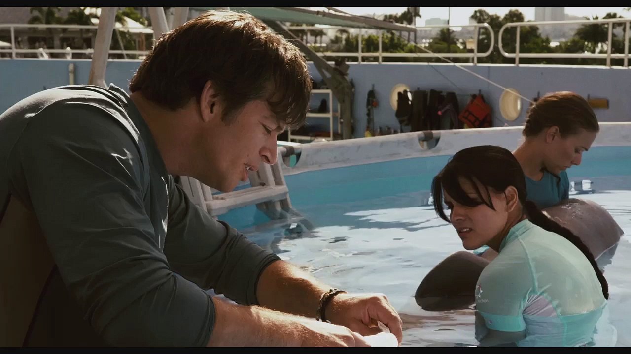 L'INCROYABLE HISTOIRE DE WINTER LE DAUPHIN - Bande-annonce