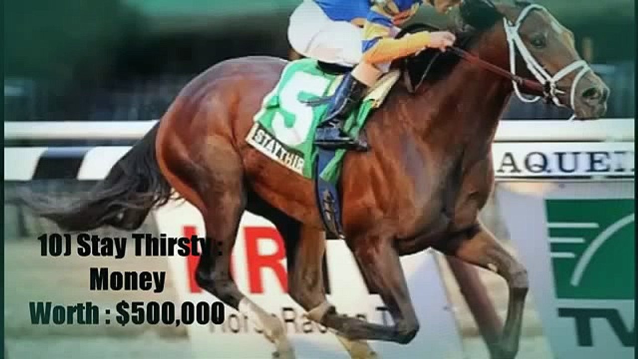 Top 10 Most Expensive Horses in the world 2015 Dailymotion Video