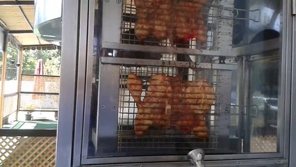 BUHARLA VE ATEŞLE IZGARA PİŞİREN,, EKM KEBAB IZGARA MAKİNASI