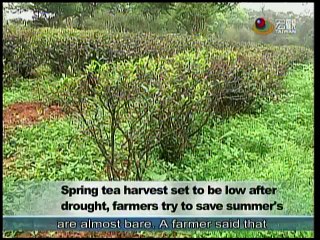 宏觀英語新聞Macroview TV《Inside Taiwan》English News 2015-03-31